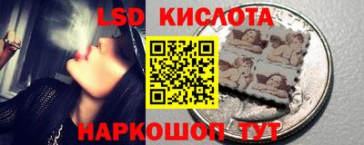 PSILOCYBIN Брянск