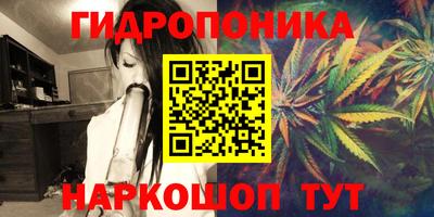 PSILOCYBIN Брянск