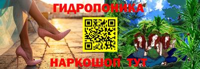 PSILOCYBIN Брянск