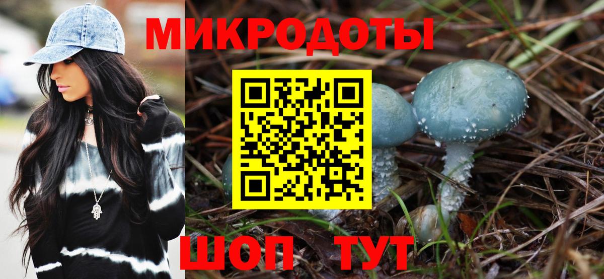 Псилоцибиновые грибы MAGIC MUSHROOMS Карпинск